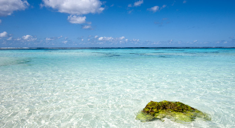 suedsee neukaledonien foto istock miauri